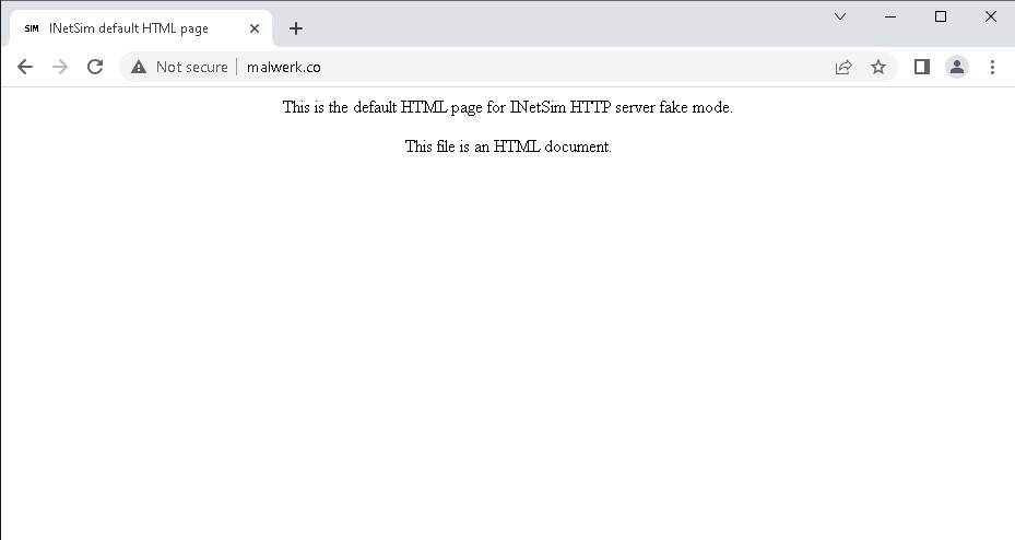 Windows inetsim DNS navigation simulation